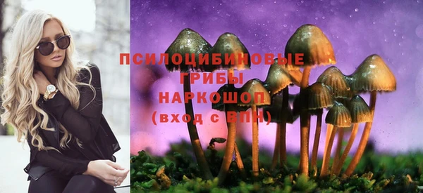 2c-b Абдулино