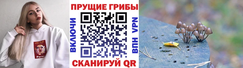 Галлюциногенные грибы MAGIC MUSHROOMS  Холмск 