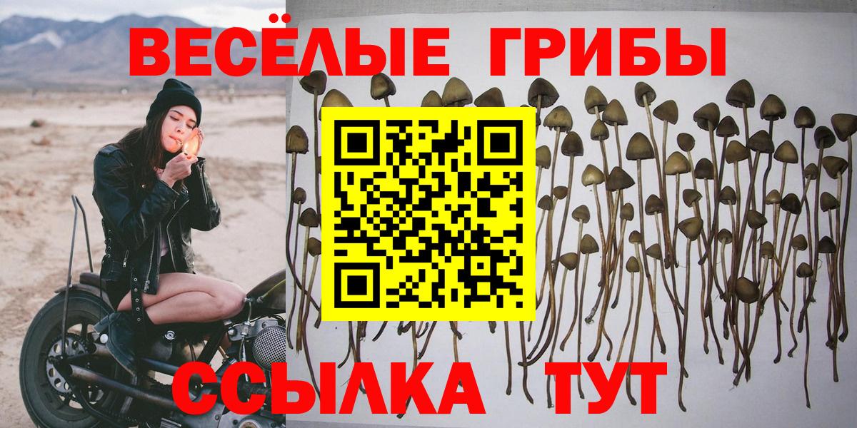 Галлюциногенные грибы GOLDEN TEACHER Холмск